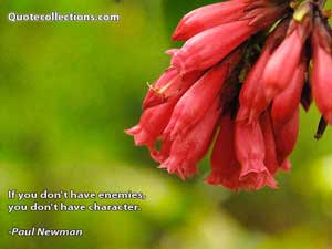 paul_newman_quotes Quotes 4